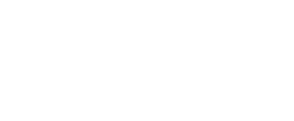 A2 Insights